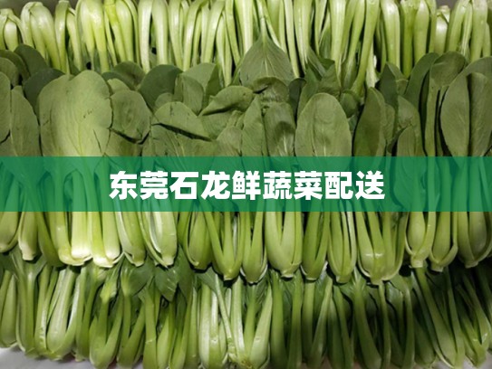 东莞石龙鲜蔬菜配送