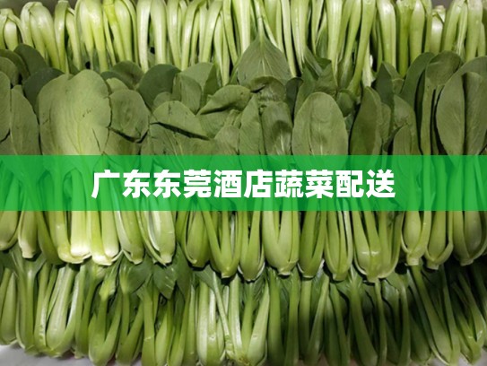 广东东莞酒店蔬菜配送