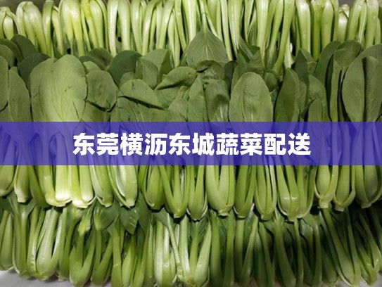 东莞横沥东城蔬菜配送