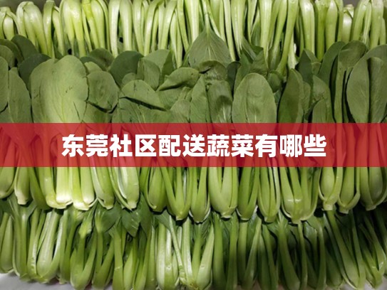 东莞社区配送蔬菜有哪些