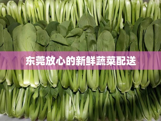 东莞放心的新鲜蔬菜配送