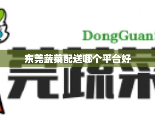 东莞蔬菜配送哪个平台好