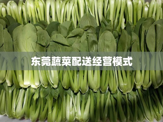 东莞蔬菜配送经营模式