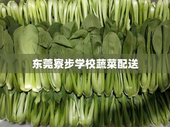 东莞寮步学校蔬菜配送