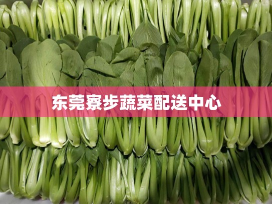 东莞寮步蔬菜配送中心