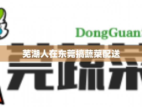 芜湖人在东莞搞蔬菜配送