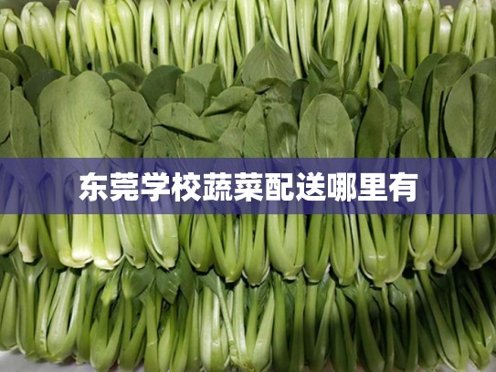 东莞学校蔬菜配送哪里有