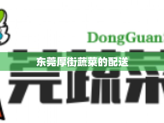 东莞厚街蔬菜的配送