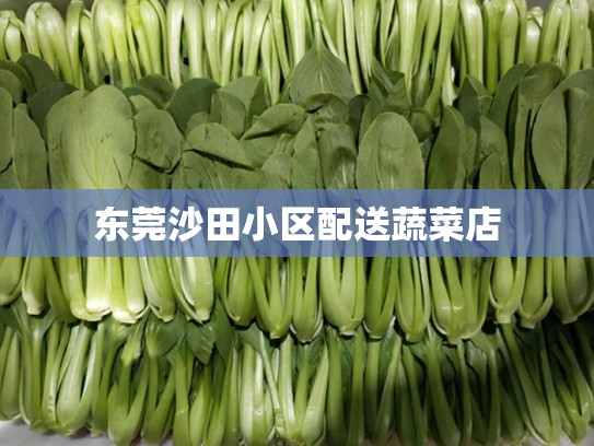 东莞沙田小区配送蔬菜店