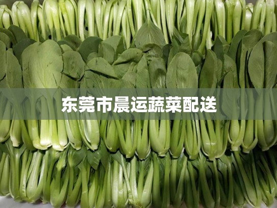 东莞市晨运蔬菜配送