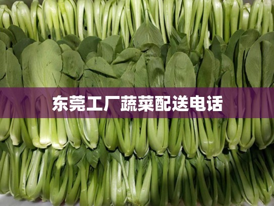 东莞工厂蔬菜配送电话