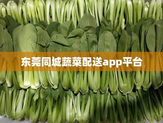 东莞同城蔬菜配送app平台