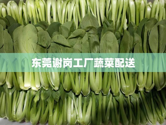 东莞谢岗工厂蔬菜配送