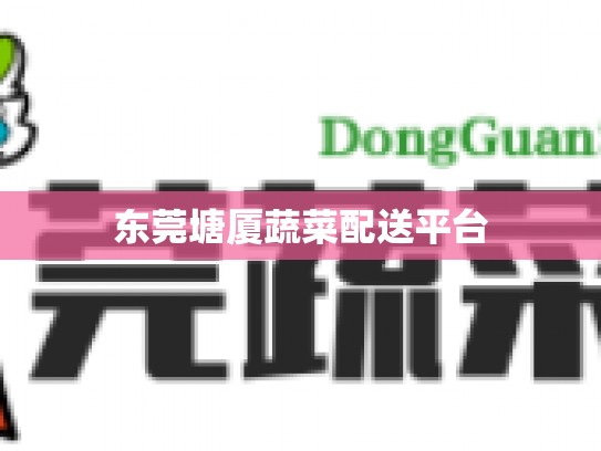 东莞塘厦蔬菜配送平台