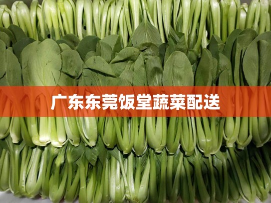 广东东莞饭堂蔬菜配送