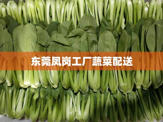东莞凤岗工厂蔬菜配送