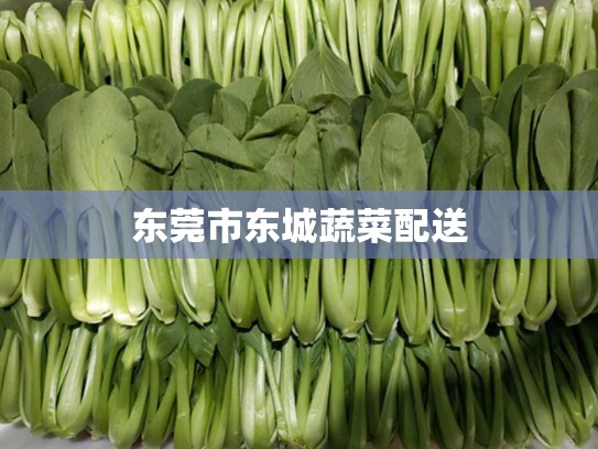 东莞市东城蔬菜配送