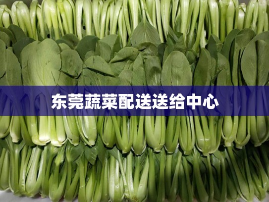 东莞蔬菜配送送给中心