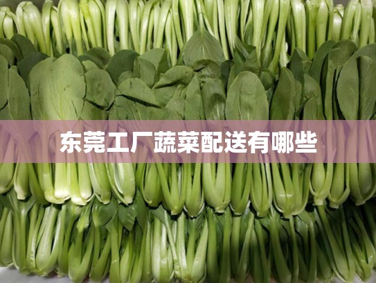 东莞工厂蔬菜配送有哪些