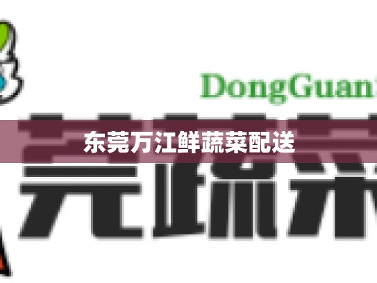 东莞万江鲜蔬菜配送