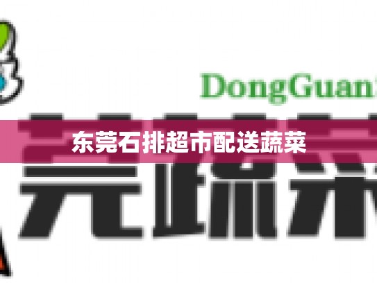 东莞石排超市配送蔬菜