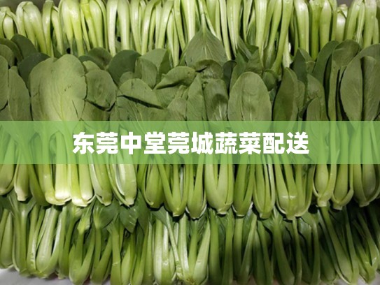 东莞中堂莞城蔬菜配送