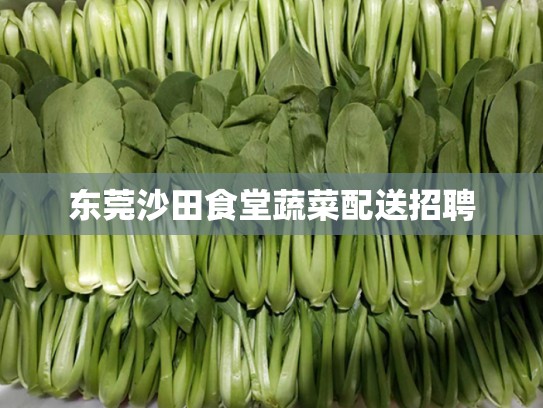 东莞沙田食堂蔬菜配送招聘