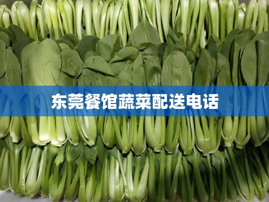 东莞餐馆蔬菜配送电话
