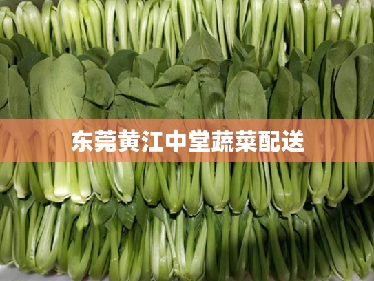 东莞黄江中堂蔬菜配送