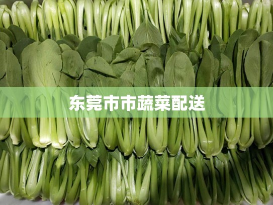 东莞市市蔬菜配送