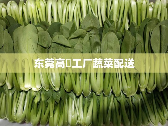 东莞高埗工厂蔬菜配送