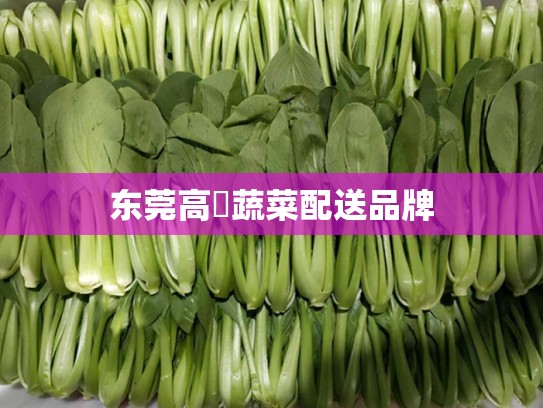 东莞高埗蔬菜配送品牌