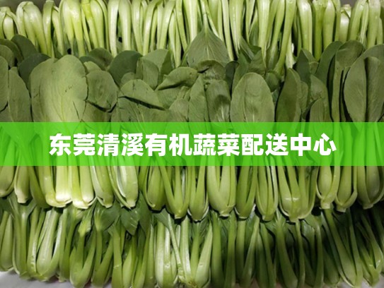 东莞清溪有机蔬菜配送中心