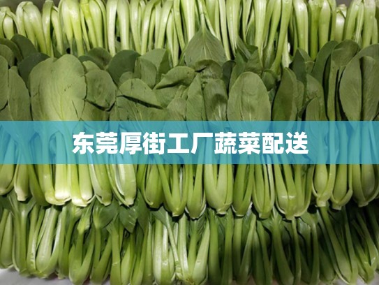 东莞厚街工厂蔬菜配送