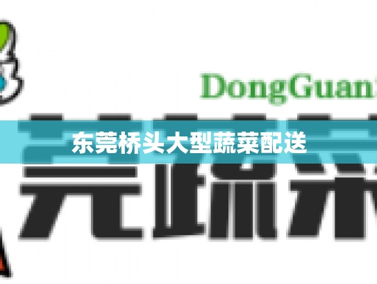 东莞桥头大型蔬菜配送