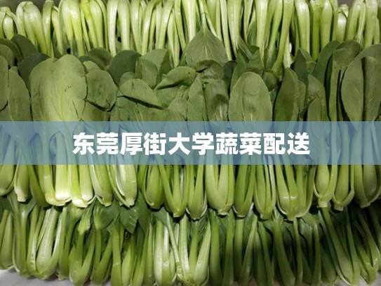 东莞厚街大学蔬菜配送