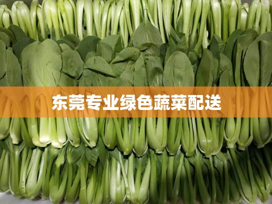 东莞专业绿色蔬菜配送