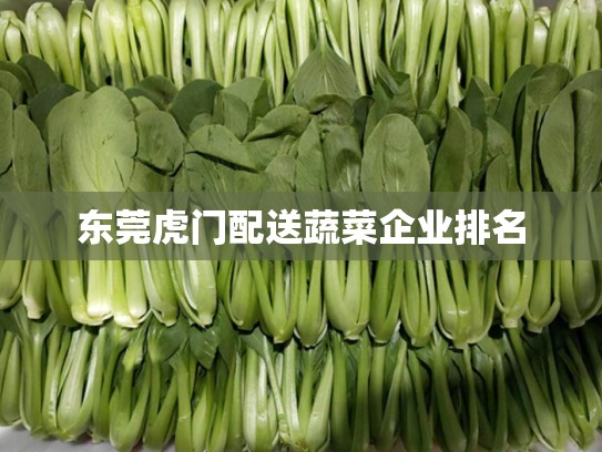 东莞虎门配送蔬菜企业排名