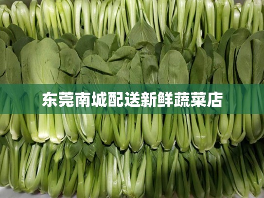 东莞南城配送新鲜蔬菜店
