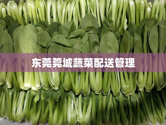 东莞莞城蔬菜配送管理