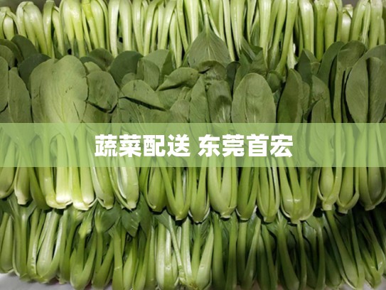 蔬菜配送 东莞首宏