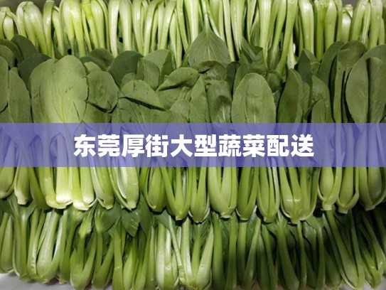 东莞厚街大型蔬菜配送
