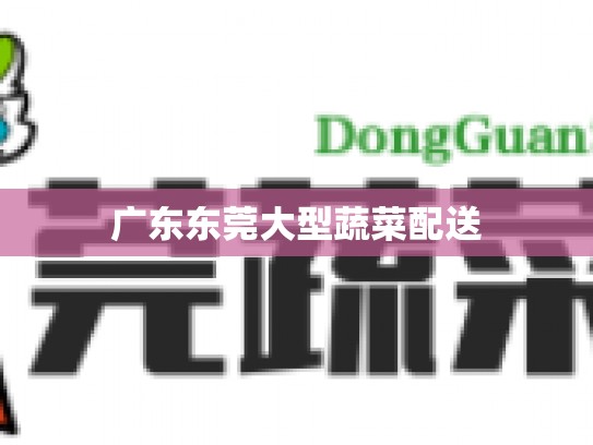 广东东莞大型蔬菜配送