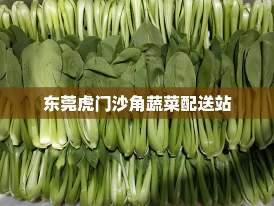东莞虎门沙角蔬菜配送站