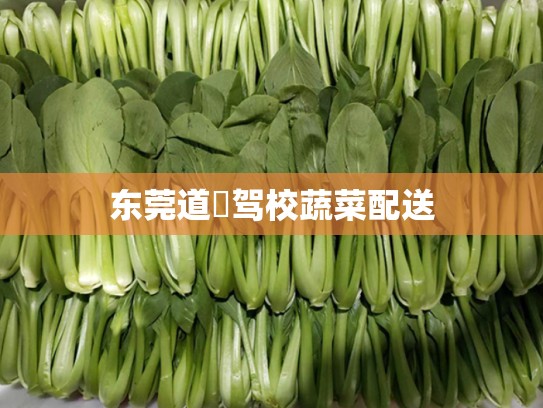 东莞道滘驾校蔬菜配送