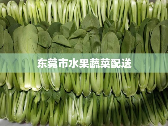 东莞市水果蔬菜配送