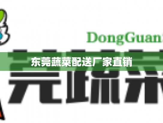 东莞蔬菜配送厂家直销