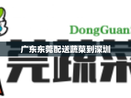 广东东莞配送蔬菜到深圳