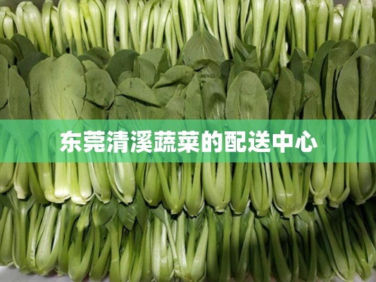 东莞清溪蔬菜的配送中心