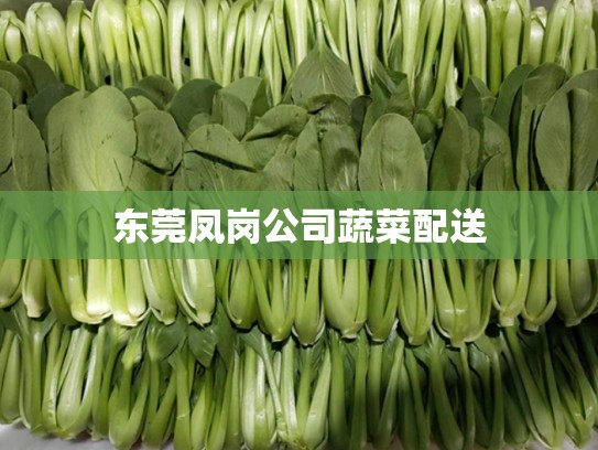 东莞凤岗公司蔬菜配送